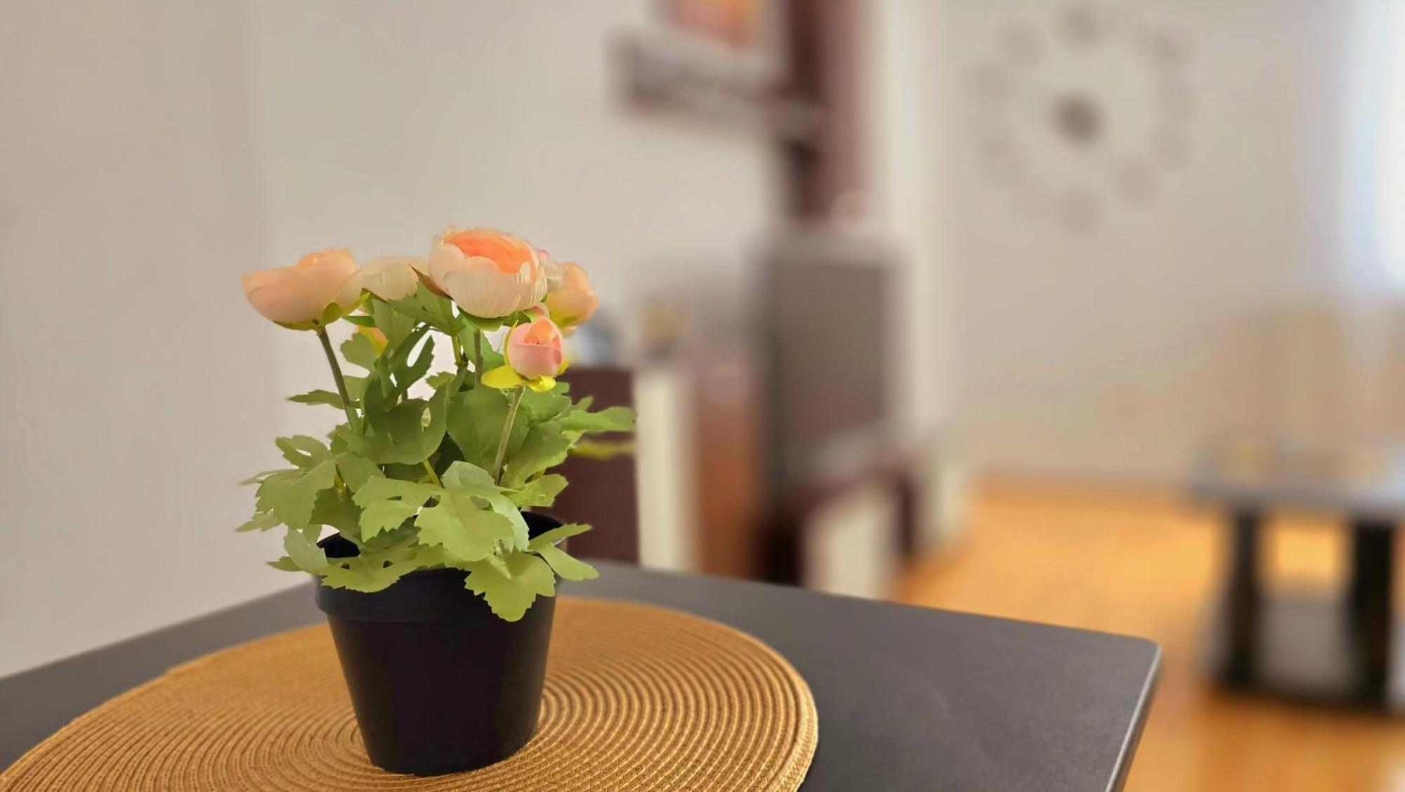 Apartament Confort Hd Hunedoara Extérieur photo